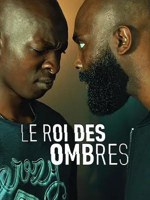Le Roi des Ombres