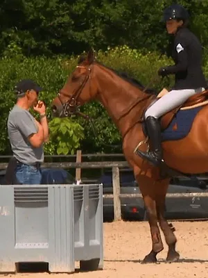 Au galop !
