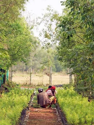 Invitation au voyage