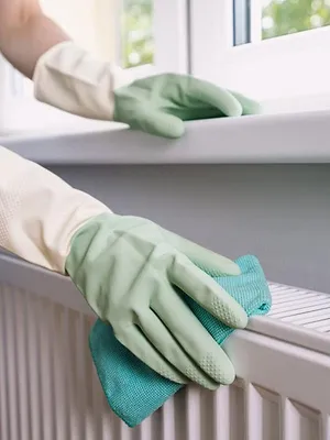 Cleaners les experts du ménage