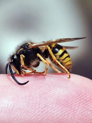 42, la réponse à presque tout