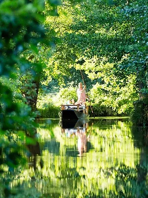 La forêt secrète de la Spree