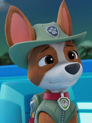 Paw Patrol, la Pat'Patrouille S12 E3