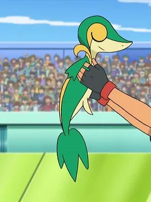 Pokémon: Noir et Blanc S15 E15