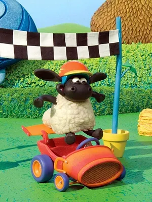 Voici Timmy S2 E25