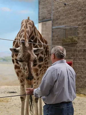 Le zoo du Bronx