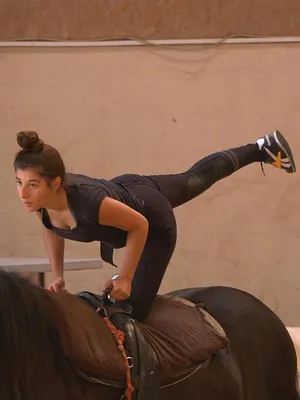 Au galop !