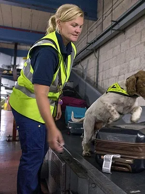 Douanes sous haute surveillance