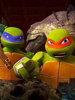 Les Tortues Ninja S2 E22