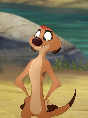 La Garde du Roi Lion S1 E8