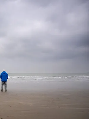 David Attenborough : L'appel de l'Océan