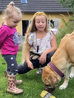 Liebste Fellnasen - Abenteuer Hundeschule