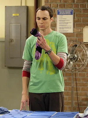 Big Bang Theory S2 E1