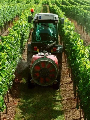 Le vin bio, vraiment bio ?