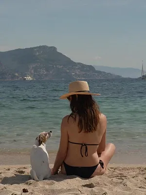 Soleil, un business doré