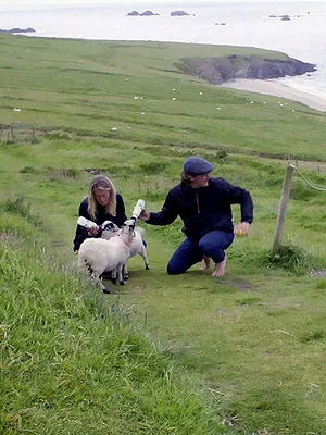 Aux quatre coins de l'Irlande