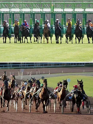 L'intégrale des courses