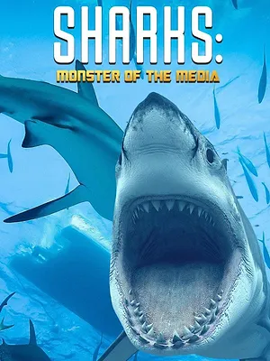 Haie - Monster der Medien