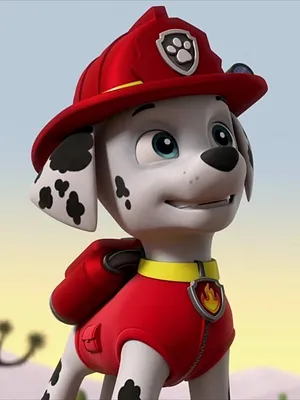 Paw Patrol, la Pat'Patrouille S7 E15