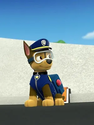 Paw Patrol, la Pat'Patrouille S1 E8