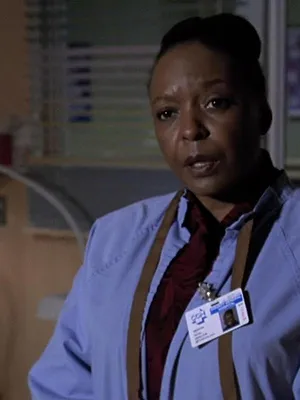 Urgences S10 E12