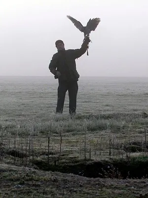 5 nuances de chasse au vol
