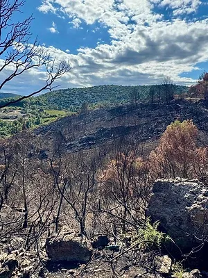 Incendies, innover pour mieux lutter