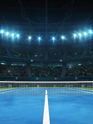 Tennis : Tournoi WTA de Cincinnati