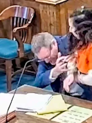 Sur le vif : vidéos insolites