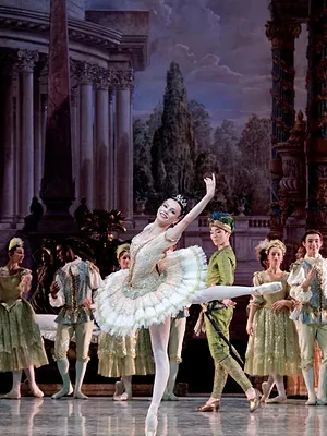 La Belle au bois dormant