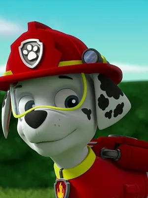 Paw Patrol, la Pat'Patrouille S7 E5