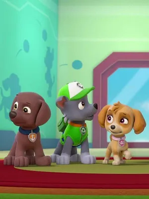 Paw Patrol, la Pat'Patrouille S4 E15