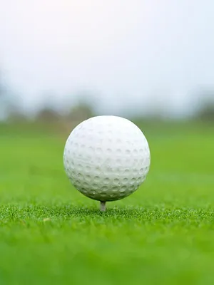 Championnat de Corée du Sud