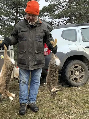 Dans la voie du lièvre