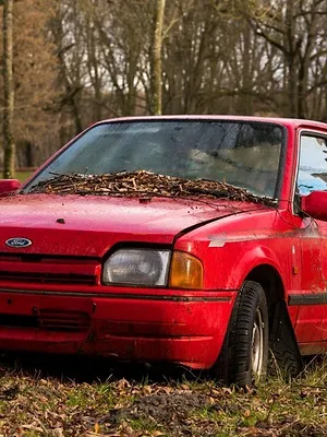 Flipping Bangers : voitures à tout prix