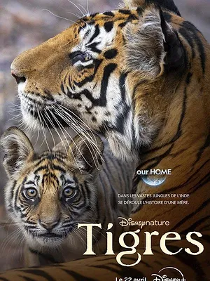 Tigres