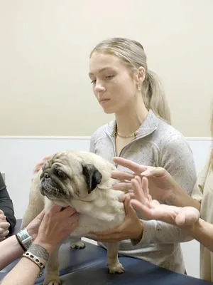 Michelle ou la vie sauvage