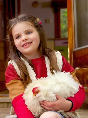 Katy en de gestolen kippen S1 E5