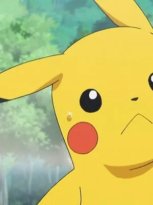 Pokémon : XY S17 E40