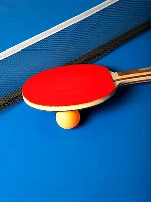 Tennis de table : Top 16 européen