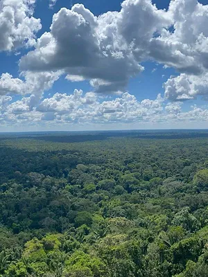 Les cités perdues de l'Amazonie
