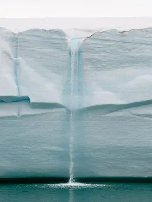L'Arctique, une région bouleversée