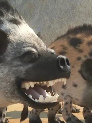 Les As de la Jungle à la rescousse ! S1 E11