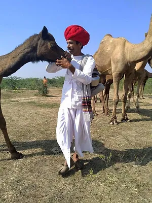 Les artisans de la nature