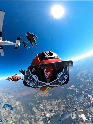Sur le vif : vidéos insolites