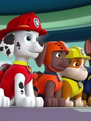 Paw Patrol, la Pat'Patrouille S5 E15