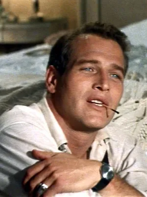 Doux oiseau de jeunesse