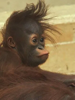 Het echte leven in de ZOO NL
