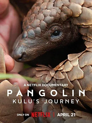 Pangolin : Chemins de vie