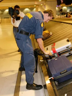 Douanes sous haute surveillance
